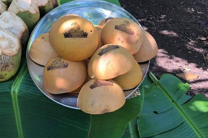 1 Day cocoa farm tour - Why this cocoa farm visit is worth your time