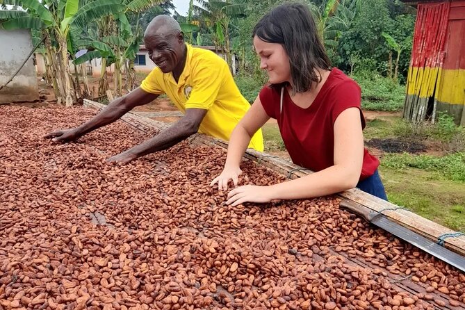 1 Day cocoa farm tour - Is $349.94 a fair price?