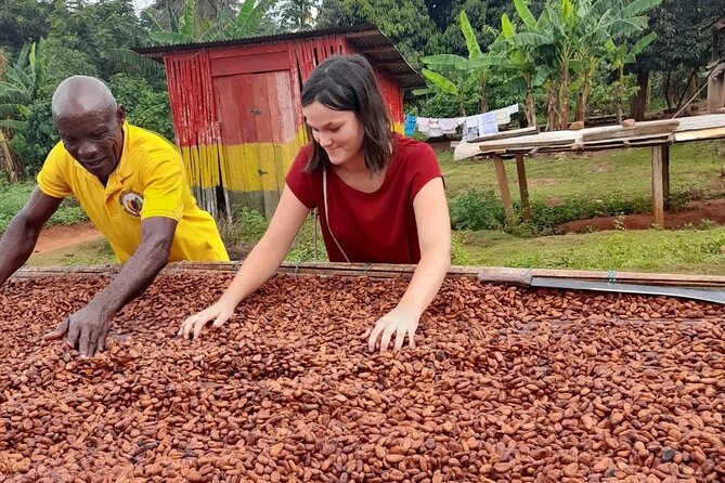 1 Day cocoa farm tour - Leaving Accra at 7:30 a.m.