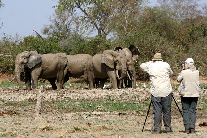 15-Day Ghana Wildlife Private Tour - Brenu Akyinim adds beach scrub and a change of pace