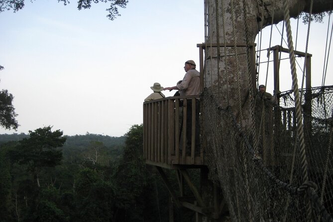 15-Day Ghana Wildlife Private Tour - New Edubiase links wildlife with local conservation