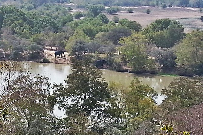 2 Days (1 night) Elephants Safari at Mole Park with Round - trip flights - Why Mole National Park is worth the long trip north
