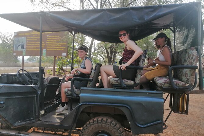 2 Days (1 night) Elephants Safari at Mole Park with Round - trip flights - Flights, weather, and the main practical risk