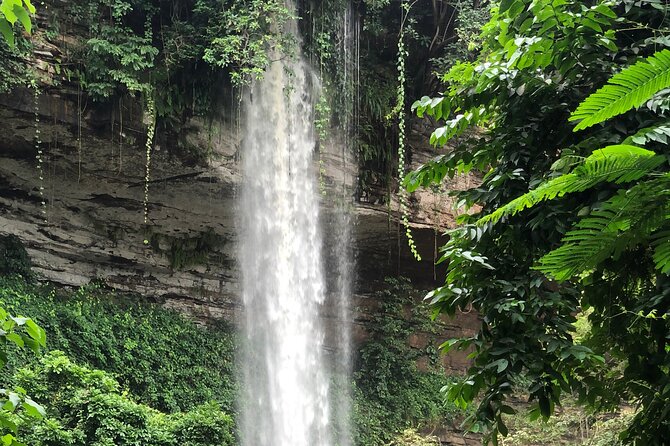 2Days private explore volta region - Tafi Atome, mona monkeys, and village life