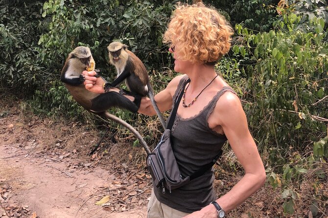 2Days private explore volta region - Wli Waterfalls, forest paths, and a possible swim