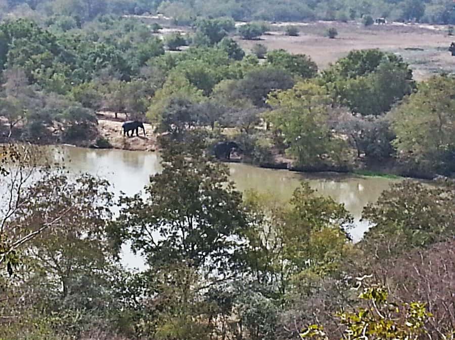 3 Days Elephant Safari at Mole Park with round trip flights - Meeting village life after the safari