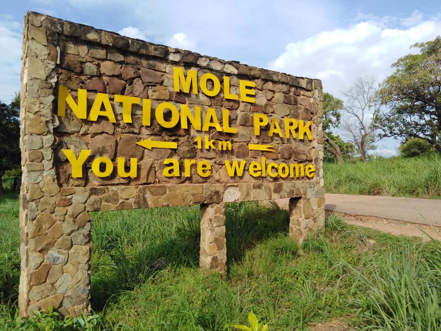 3 Days Elephant Safari at Mole Park with round trip flights - What the $1,100 price really covers