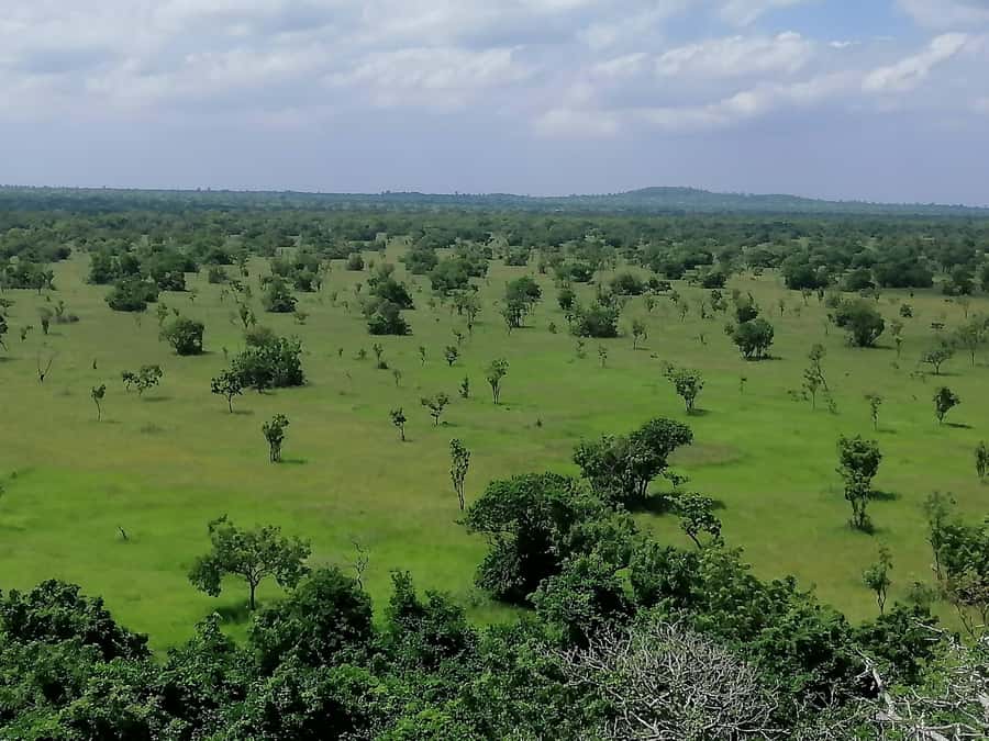 3 Days Elephant Safari at Mole Park with round trip flights - Practical preparation for the three days