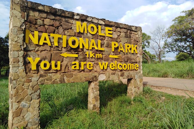 3 Days Elephants Safari at Mole Park with Round - trip flights - Why Mole National Park makes this a strong three-day trip