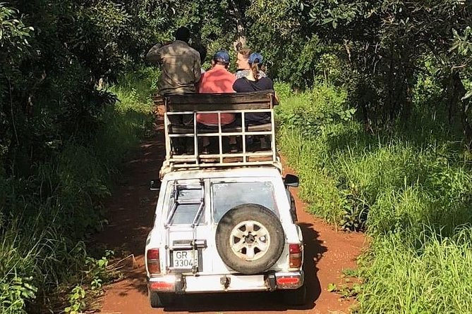 3 Days Sunrise Elephant Safari-Mole Park with -Round Trip Flight - What the $780 price really covers