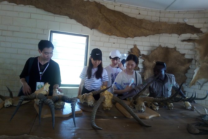 5 Days Adventurous Wildlife Safari - Day 2: Walking safari, Larabanga, and Mognori village