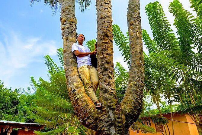 A Tour to Boti Falls - The Three-Headed Palm Tree and fertility rock