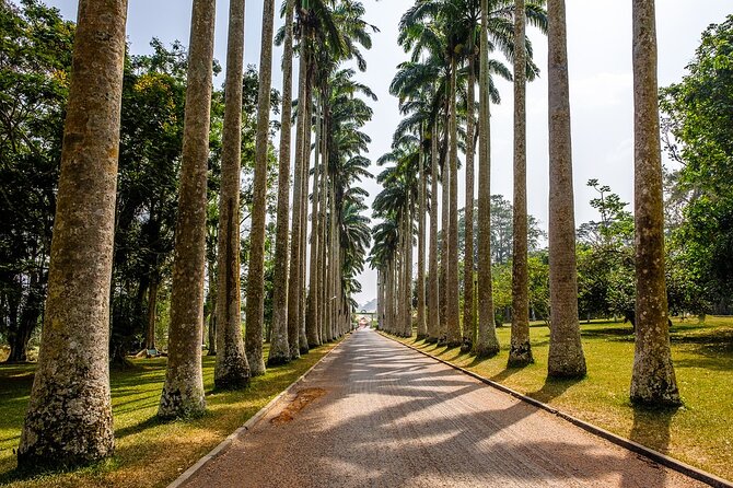 Aburi Botanic Gardens and Boti Falls Full-Day Private Tour - Key points at a glance
