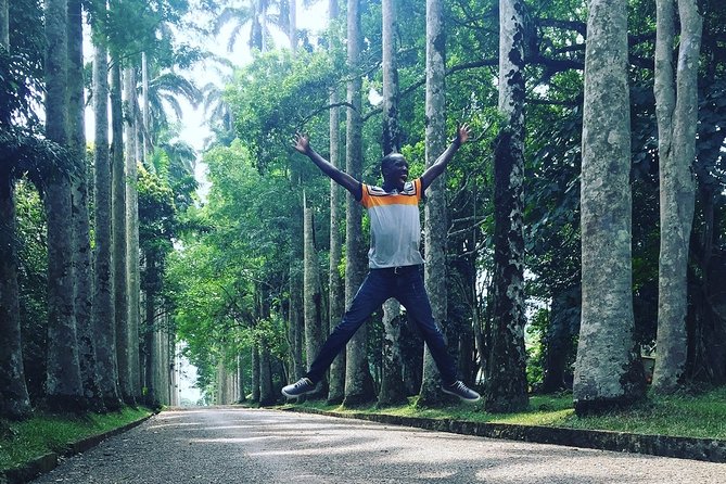 Aburi Gardens and Tetteh Quarshie Farms - From Accra to Aburi at 6:00 am