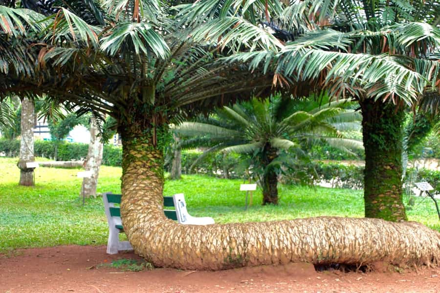 Accra Aburi Eco & Cocoa Experience: Gardens Waterfall &Lunch - Key points to know before you book