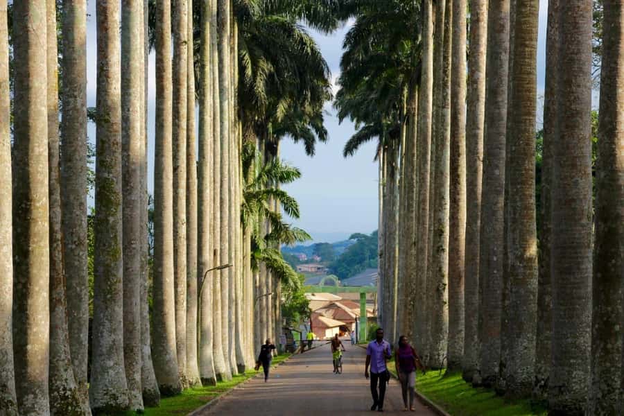 Accra Aburi Eco & Cocoa Experience: Gardens Waterfall &Lunch - Walking through Aburi Botanical Gardens