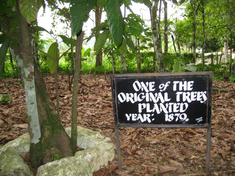 Accra Aburi Eco & Cocoa Experience: Gardens Waterfall &Lunch - What the $159 price really covers