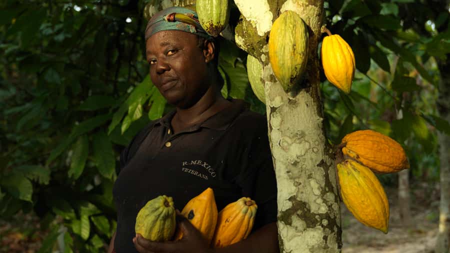 Accra Aburi Eco & Cocoa Experience: Gardens Waterfall &Lunch - Tetteh Quarshie Cocoa Farm and Ghana’s cocoa story