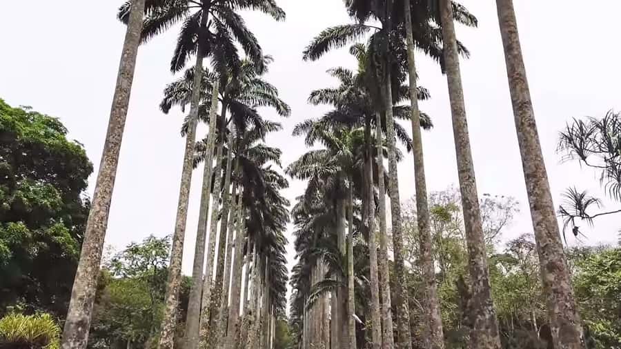 Accra: Eastern Region Waterfalls Tour - Boti Falls and its 250-step descent
