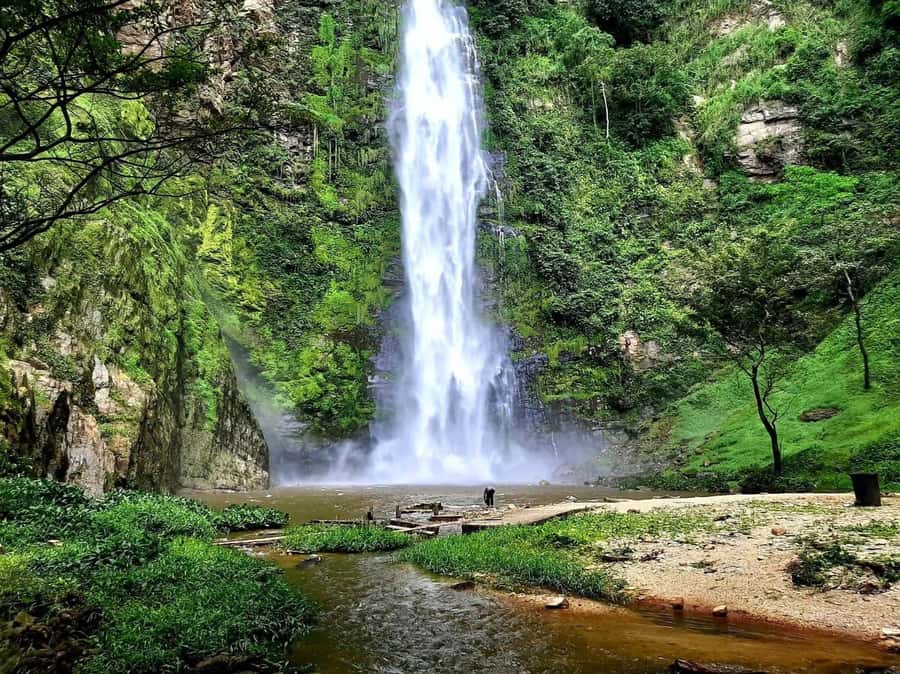 Accra: Tafi Kente Village, Monkey Sanctuary &Wli Waterfalls - The long road from Accra and what you get for $259