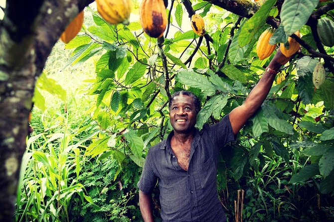 Boti Falls, Botanic Gardens, Cocoa Fam, Umbrella Rock Experience - Why this makes a strong day trip from Accra
