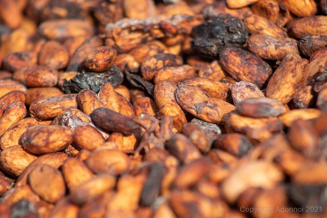 Boti Falls, Umbrella Rock, Aburi Gardens & Cocoa Farm Day Tour - Key points to know before booking