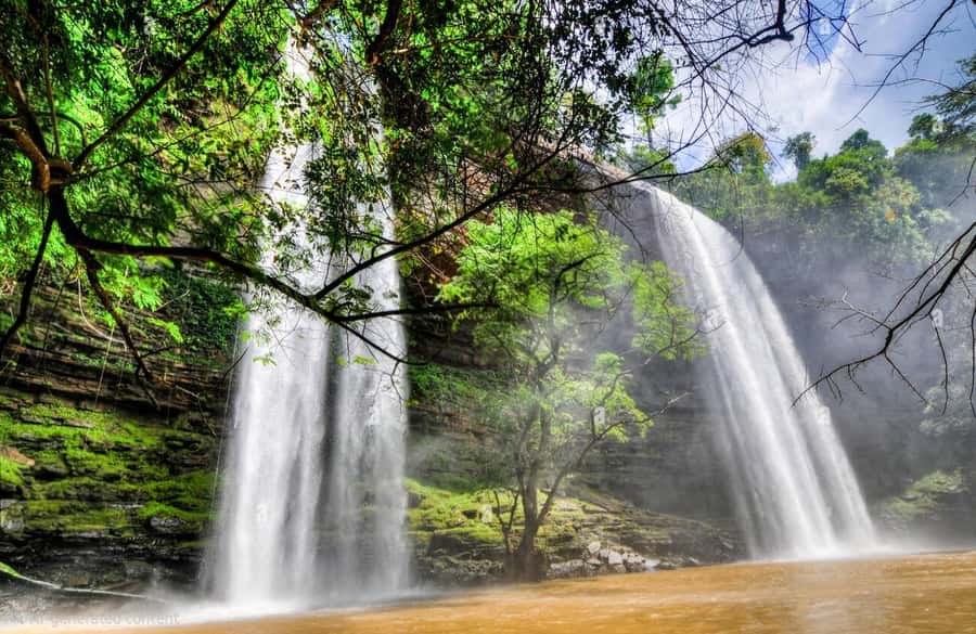 Boti Falls, Umbrella Rock, Aburi Gardens & Cocoa Farm Tour - Key points to know before you go