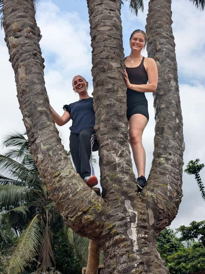 Boti Falls, Umbrella Rock, Aburi Gardens & Cocoa Farm Tour - Aburi Botanical Gardens: a gentle start among tropical plants
