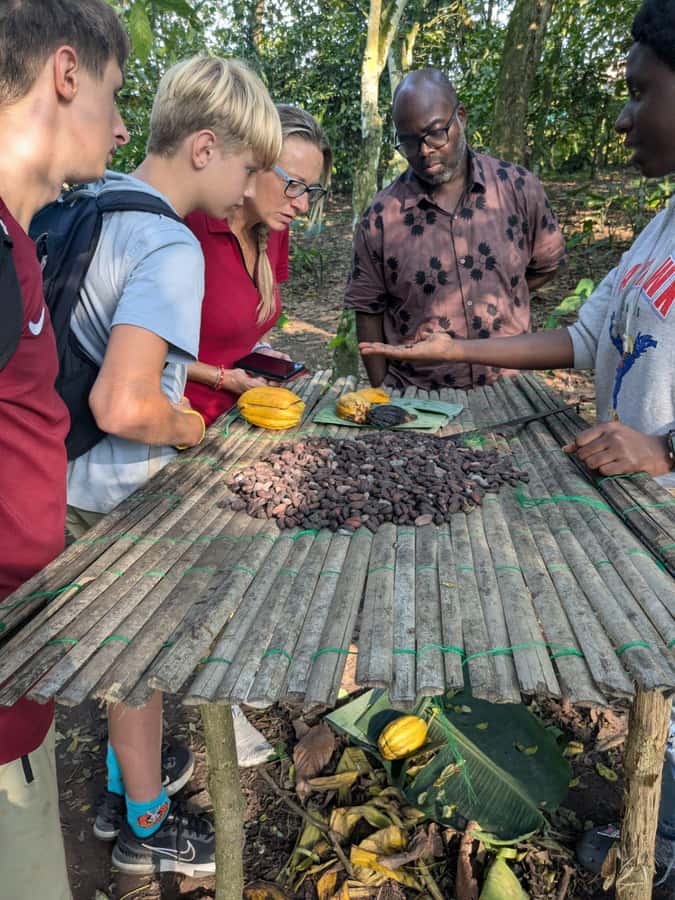 Boti Falls, Umbrella Rock, Aburi Gardens & Cocoa Farm Tour - Tetteh Quarshie Cocoa Farm and a taste of Ghana’s economy