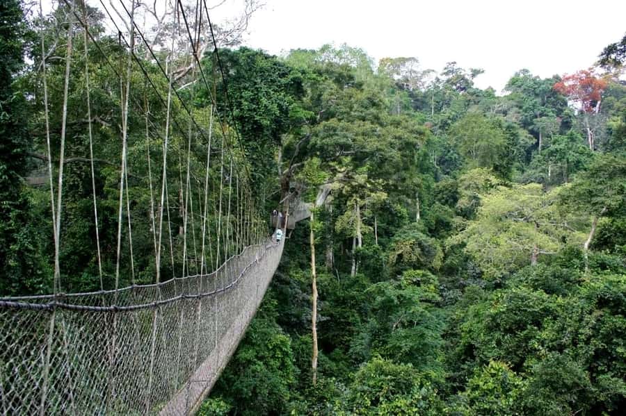 Cape Coast: Kakum National Park, Castles, & Hans Cottage - Key points to know before booking