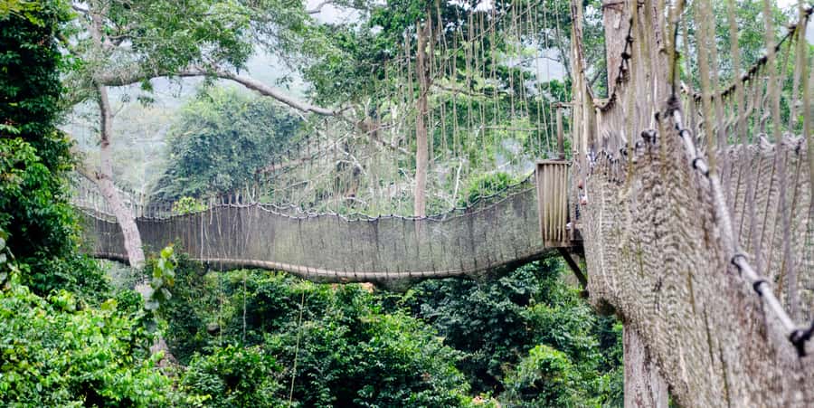 Cape Coast: Kakum National Park, Castles, & Hans Cottage - Why this day trip works for first-time visitors