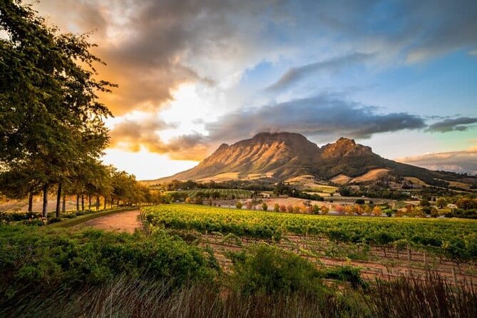 Cultural Tour Of Ghana And South Africa 12 Days - Cape Town shifts from politics to open views