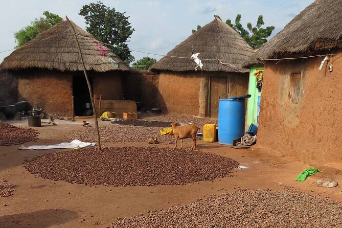 Cultural Village Tour: Traditional Naming Ceremony - Leaving Accra for the Volta Region