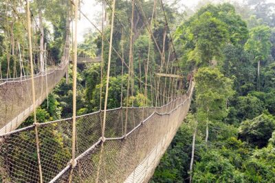Day Tour to Kakum National Park, Cape Coast and Elmina Castles