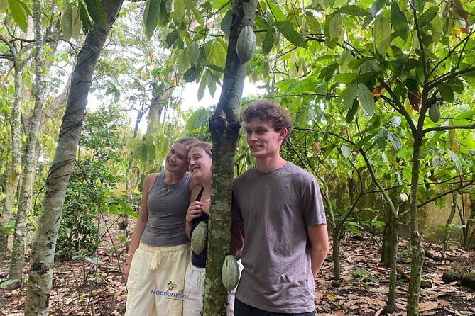 Day Trip Near Accra - Visit Aburi Gardens, Waterfall & Cocoa Farm - Aburi Craft Village and practical souvenirs