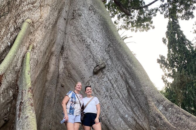 Day Trip Near Accra - Visit Aburi Gardens, Waterfall & Cocoa Farm - What the $179 price means