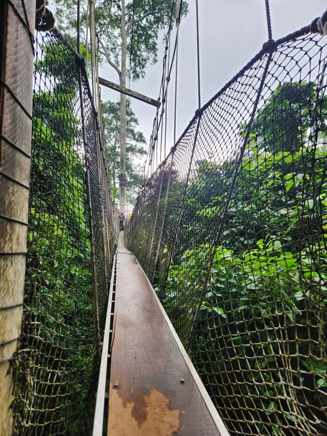 Discover Cape Coast and Elmina Castle with Kakum - Elmina Castle and a second perspective