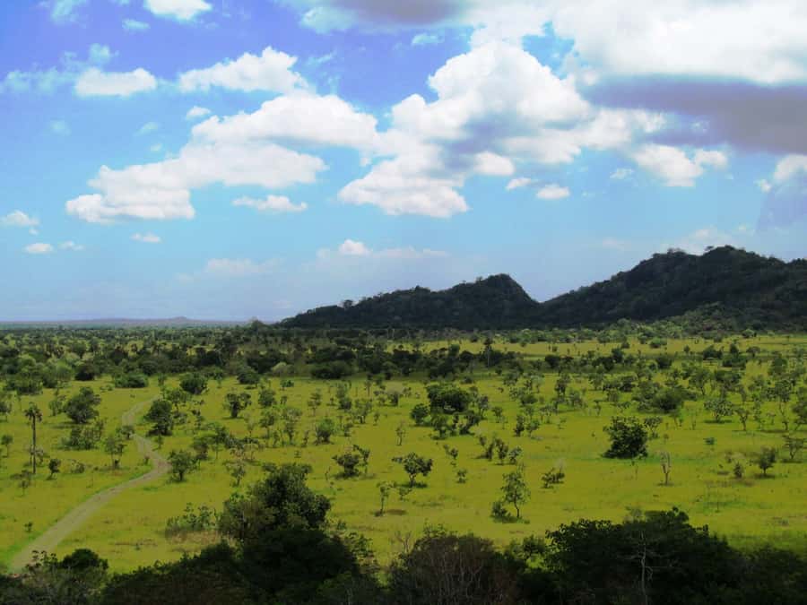 Discover Nature at Shai Hills - Adventure Full Day Trip - Starting at Coconut Beach and getting into the reserve