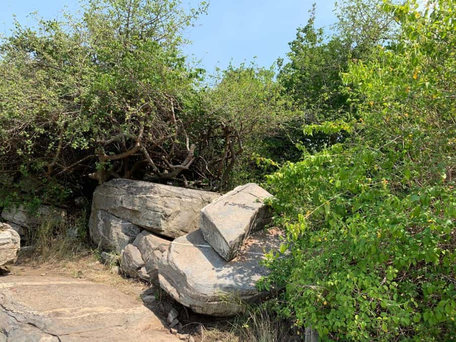 Discover Nature at Shai Hills - Adventure Full Day Trip - Caves, rocks, and views over the plains