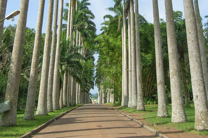 Escape Accra City to Aburi Gardens and Tetteh Quarshie Cocoa Farms - Key points at a glance