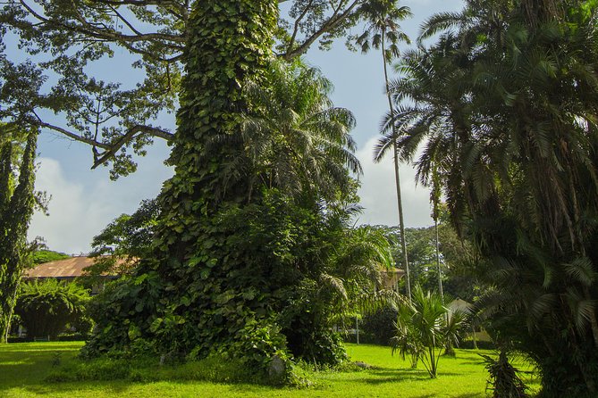 Escape Accra City to Aburi Gardens and Tetteh Quarshie Cocoa Farms - Aburi Crafts Village, souvenirs with a time cost