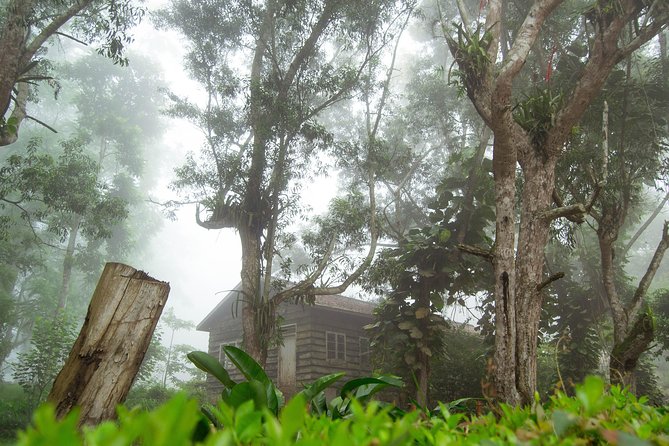 Escape Accra City to Aburi Gardens and Tetteh Quarshie Cocoa Farms - The guides can shape the entire experience