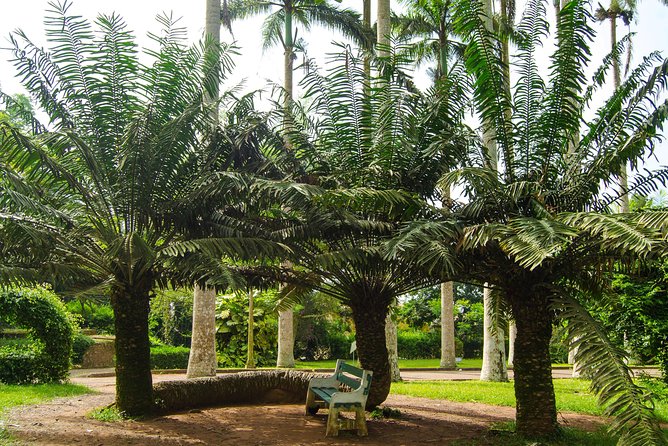 Escape Accra City to Aburi Gardens and Tetteh Quarshie Cocoa Farms - Who should book this experience?