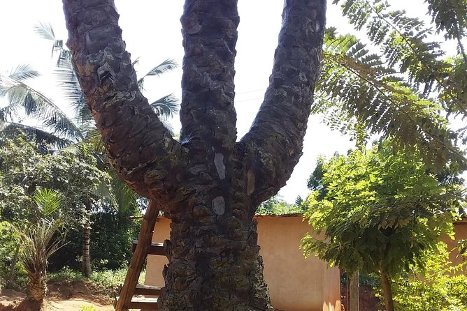 Experience Aburi Botanical Gardens And Boti Water Falls In A Day. - Is $180 a fair price?