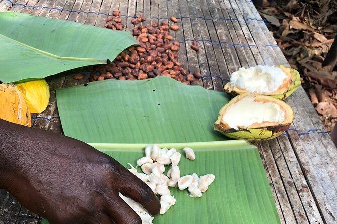 Experience Boti Waterfalls, Aburi Botanical Gardens & Tetteh Quarshie Cocoa Farm - Why Boti Waterfalls makes this more than a garden tour