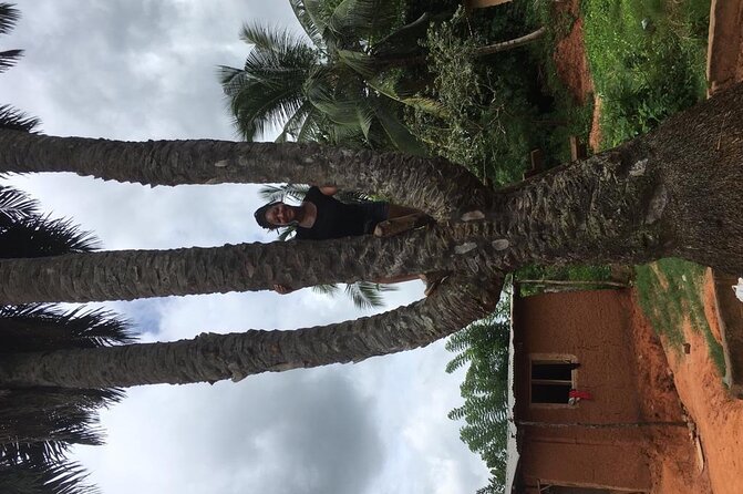 Experience Boti Waterfalls, Aburi Botanical Gardens & Tetteh Quarshie Cocoa Farm - Asenema Waterfalls adds a quieter final stop