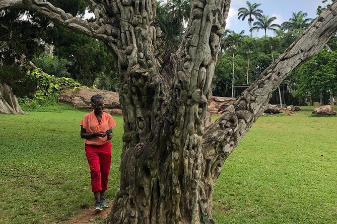 Experience Boti Waterfalls, Aburi Botanical Gardens & Tetteh Quarshie Cocoa Farm - The long drives are part of the experience