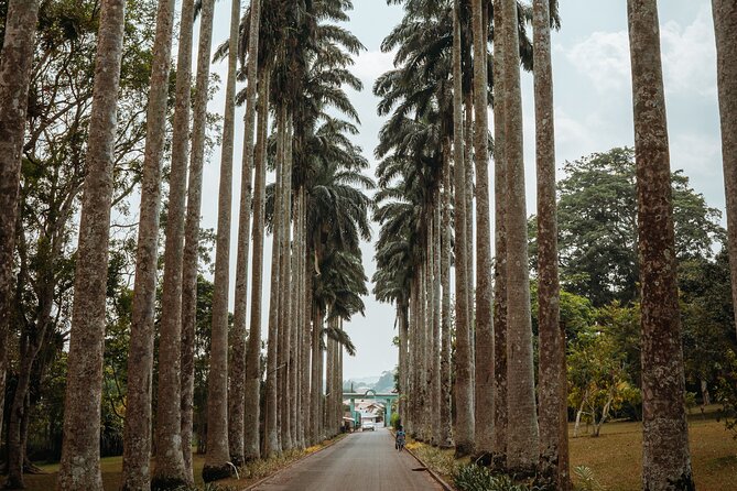 Explore Aburi Botanical Gardens And Boti Falls - The 45-minute climb to Umbrella Rock
