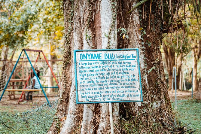 Explore Aburi Botanical Gardens And Boti Falls - A slower walk through Aburi Botanical Gardens