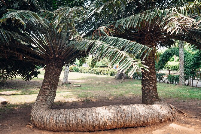 Explore Aburi Botanical Gardens And Boti Falls - Is $250 per person a fair price?